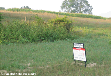 Grassy Hill Picture